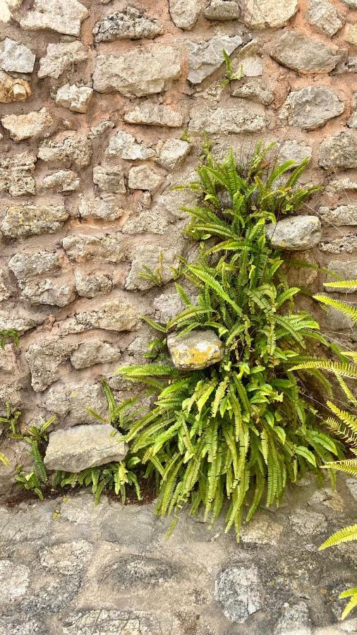 Agroturisme Son Cardaix Artà Exterior foto